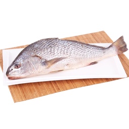 Corvina Entera Eviscerada Fresca x kg