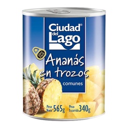 Anana Ciudad Del Lago Lata 565 gr