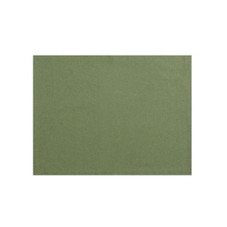 Individual Liso Color Verde 33x45 cm . . .