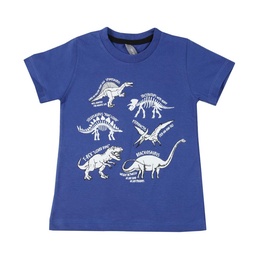 Remera Nene/a Manga Corta Azul Francia Estampada Dinosauros Talle 3