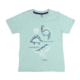 Remera Niña/o Manga Corta Estampada Dinos Verde Claro Talle 1