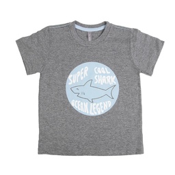 Remera Niña/o Mc Estampada Gris Set T2