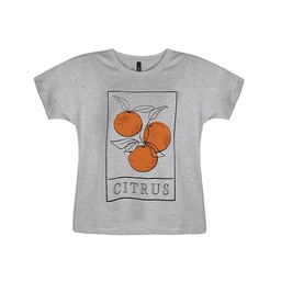 Remera Manga Corta Estampa Citrus Gris Talle S