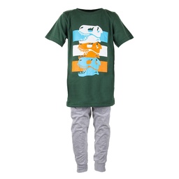 Pijama Niño/a Largo Estampado Dino Verde/gris Talle 6