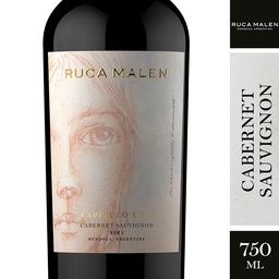 Vino Cabernet Sauvignon Capitulo Uno Ruca Malen 750ml