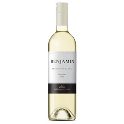 Vino Sauvignon Blanc Benjamin 750ml