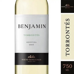 Vino Torrontes Benjamin 750ml