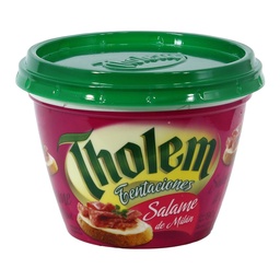 Queso Untable Tentaciones Sa Tholem Pot 190 grm