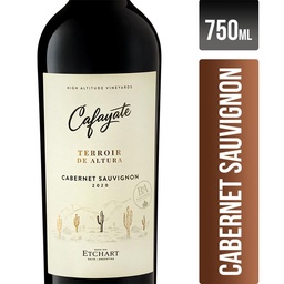 Vino Cabernet Sauvignon Terroir de Altura Cafayate 750ml