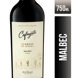 Vino Malbec Terroir de Altura Cafayate 750ml