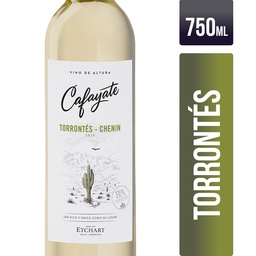 Vino Torrontes Terroir de Altura Cafayate 750ml