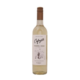 Vino Torrontes Chenin Cafayate 750ml