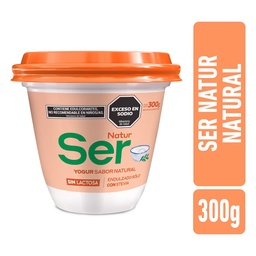 Yogur Natur Big Pot Natural Ser 300gr