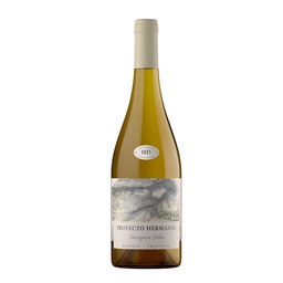 Vino Sauvignon Blanco Proyecto Hermanas Bot 750 ml