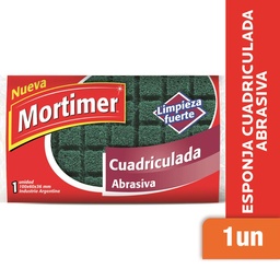 Esponja Mortimer Cuadriculada Abrasiva 1 un