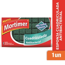 Fibra Espon. Antibacterial Mortimer Bsa 1 uni