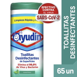 Toallitas Desinfectantes Ayudín Fresco (Frasco) 65u