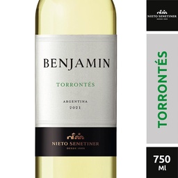 Vino Torrontés Benjamín x750 ml