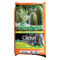 Cactus x 5l . . .