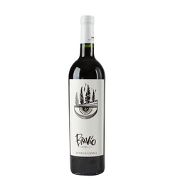 Vino Cabernet Sauvignon Bravio Bodega Uxmal 750ml