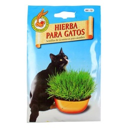 Cesped Hiervas para Gato . .