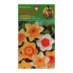 Bulbos de Narcisos Parque Polybag