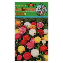 Bulbos de Marimonias Parque Polybag