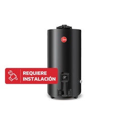 Termotanque A Gas Rheem 80 l Tgnp080rh  Natural