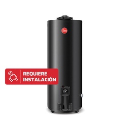 Termotanque A Gas Rheem 120 l Tgnp120rh Natural