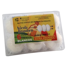 Huevo Blanco Extra 6 uni