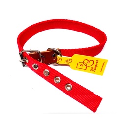 Collar Mr Dog  45 cm 1 Unidad