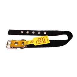 Collar Mr Dog  40 cm 1 Unidad