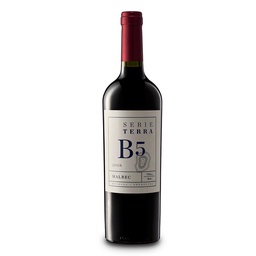 Vino Malbec Terra Bot 750 cc