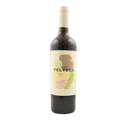 Vino Malbec Alma Telteca 750ml