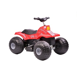 Cuatriciclo Miniquad Arene Electrico 6V Rodacross