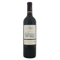 Vino Cabernet Sauvignon Malbec Petit Caro Bot 750 ml