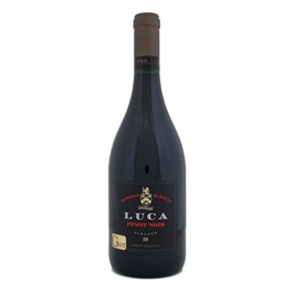 Vino Pinot Noir Luca Bot 750 ml