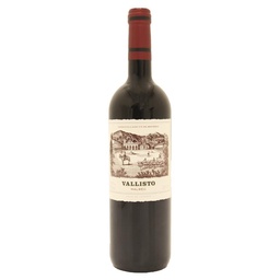 Vino Malbec Vallisto 750ml