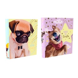 Carpeta Prr 2x40 Cachorro Surtido 1 Unidad