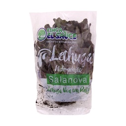 Lechuga Hidroponica Salanova Roble Finca El Sauce 220g