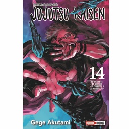 Libro Jujutsu Kaisen 14