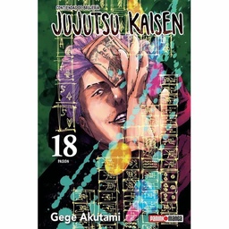 Libro Jujutsu Kaisen 18