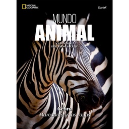 Libro Mundo Animal, Cebra Marcada Por Las Rayas