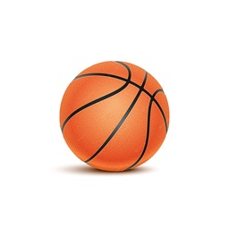 Pelota de Basquet N7