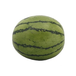 Sandia Baby 1 kg