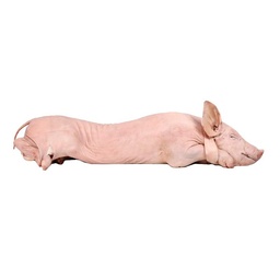 Medio Lechon Congelado - 6kg Aprox