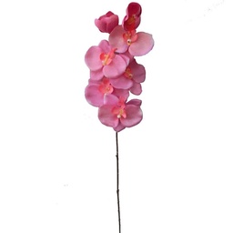 Orquidea Tl 73cm Fucsia 73cm