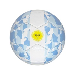 Pelota de Futbol N5 Argentina Mundial Sorma