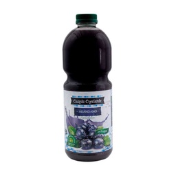 Jugo Cuarto Creciente Arándano Botella 1.5 l