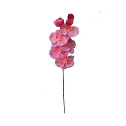 Orquidea 73cm Fucsia Krea 1un